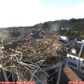 18_15-nest.jpg