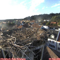 18_20-nest.jpg
