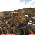 18_25-nest.jpg