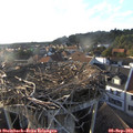 18_30-nest.jpg