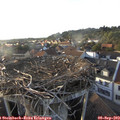 18_35-nest.jpg
