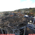 18_40-nest.jpg
