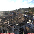 18_45-nest.jpg