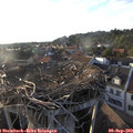 18_55-nest.jpg