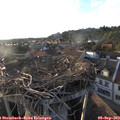 19_00-nest.jpg