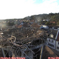 19_05-nest.jpg