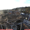 19_10-nest.jpg
