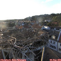 19_15-nest.jpg