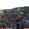 19_20-nest.jpg