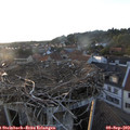 19_25-nest.jpg