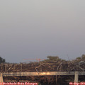 19_30-mast.jpg