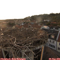19_30-nest.jpg