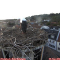 19_35-nest.jpg