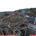 07_00-nest.jpg