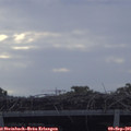 07_45-mast.jpg