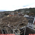 07_45-nest.jpg