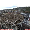 07_55-nest.jpg