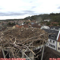 08_05-nest.jpg