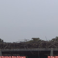 08_10-mast.jpg