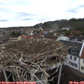 08_10-nest.jpg
