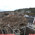 08_30-nest.jpg