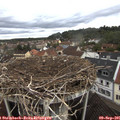 08_40-nest.jpg