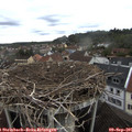 09_00-nest.jpg