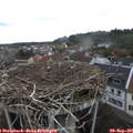 09_05-nest.jpg