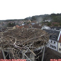 09_10-nest.jpg