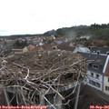 09_20-nest.jpg