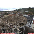 09_30-nest.jpg