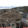 09_35-nest.jpg