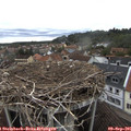 09_40-nest.jpg
