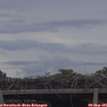 09_55-mast.jpg