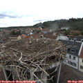 10_45-nest.jpg