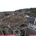 10_50-nest.jpg