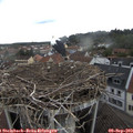11_20-nest.jpg