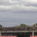 12_10-mast.jpg