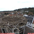 12_20-nest.jpg