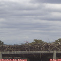12_40-mast.jpg