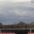 13_15-mast.jpg