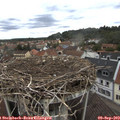 13_35-nest.jpg