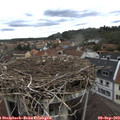 13_40-nest.jpg