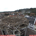 14_15-nest.jpg