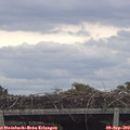 14_30-mast.jpg