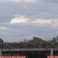 14_40-mast.jpg
