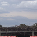 15_10-mast.jpg
