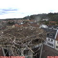 15_15-nest.jpg