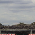 16_15-mast.jpg