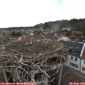 16_15-nest.jpg